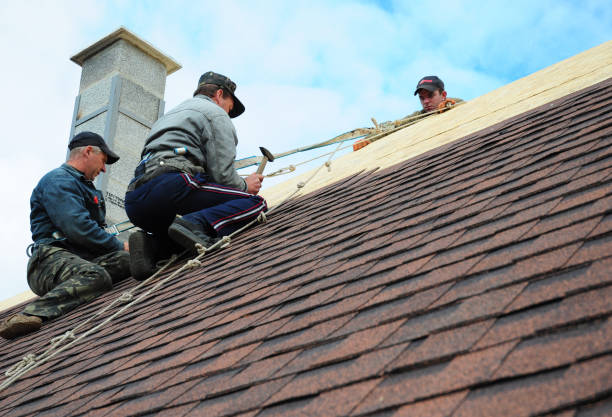 Best Local Roofing Companies  in Redway, CA